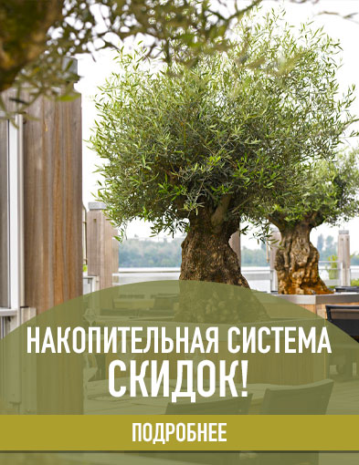 Накопительная система скидок