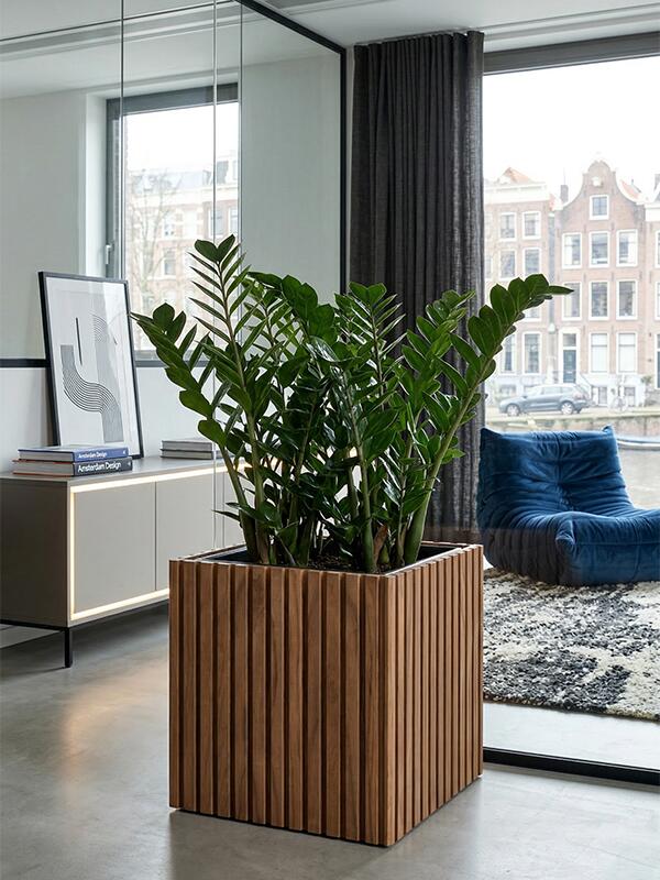Кашпо Baq radia square natural (с техническим горшком) L38 W38 H38 см