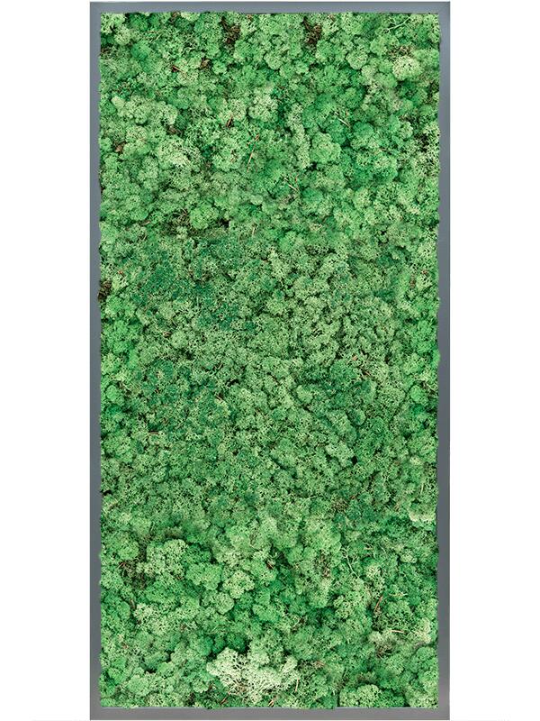 Картина из мха mdf ral 7016 satin gloss 100% reindeer (grass green) L120 W60 H6 см