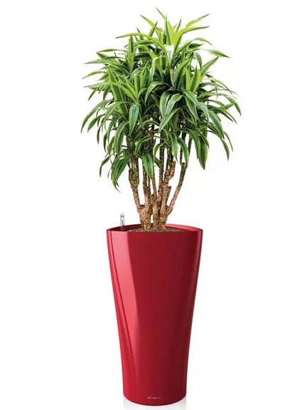 Кашпо Lechuza Delta