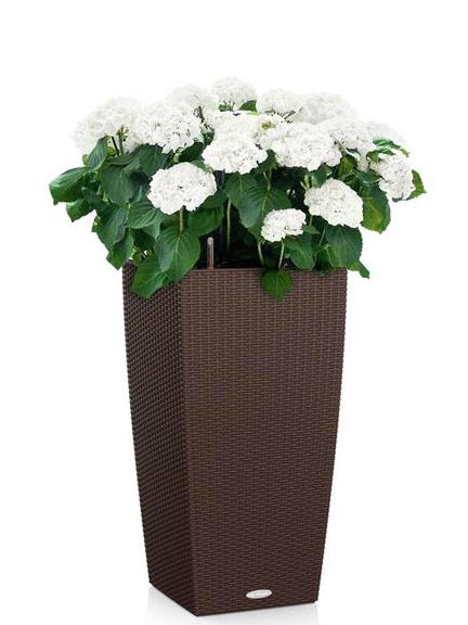 Кашпо Lechuza Cubico Cottage