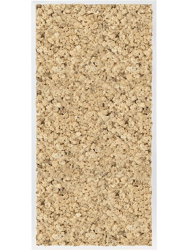 Картина из мха mdf ral 9010 satin gloss 100% reindeer moss (natural) L120 W60 H6 см