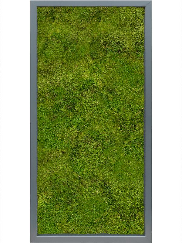 Картина из мха mdf ral 7016 satin gloss 100% flat moss L80 W40 H6 см