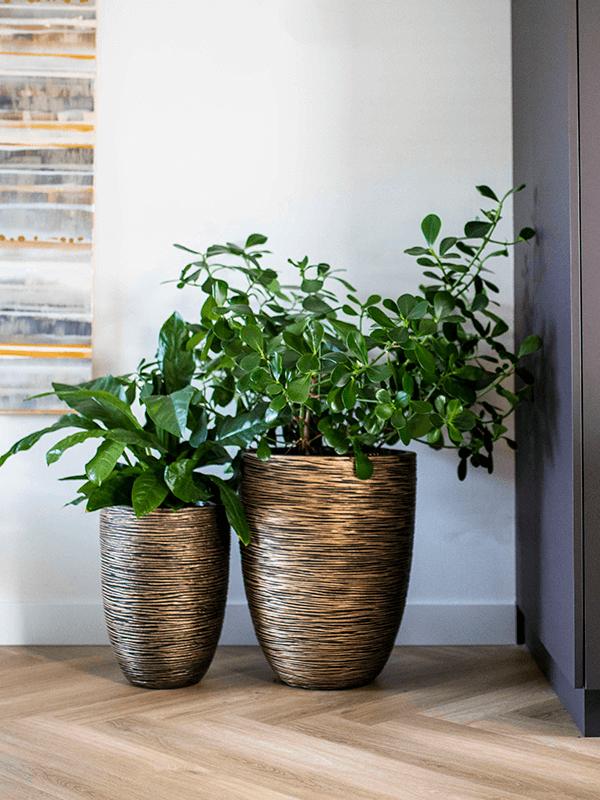 Кашпо Capi nature rib nl vase elegant low black gold D34 H46 см