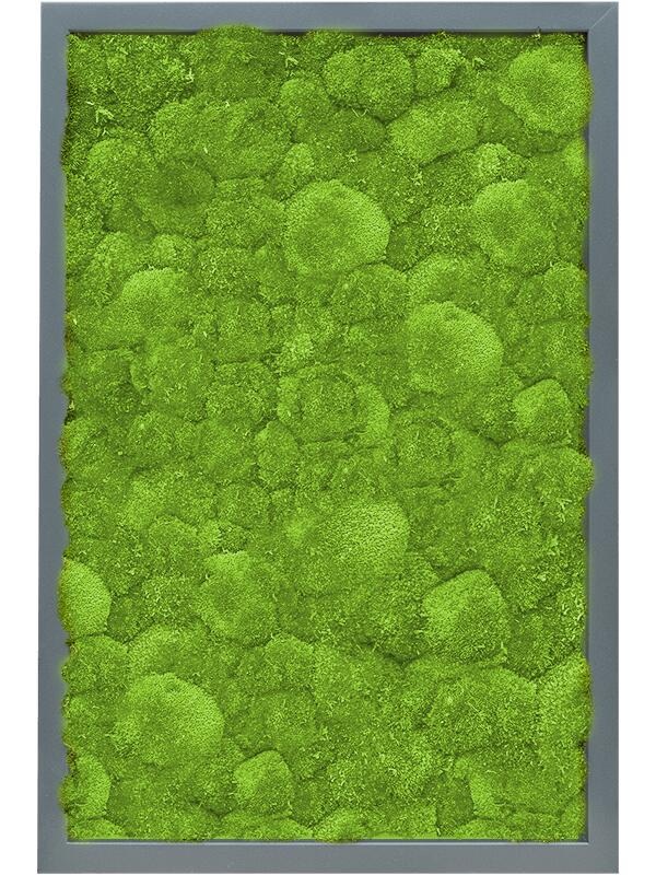Картина из мха mdf ral 7016 satin gloss 100% ball moss L60 W40 H6 см