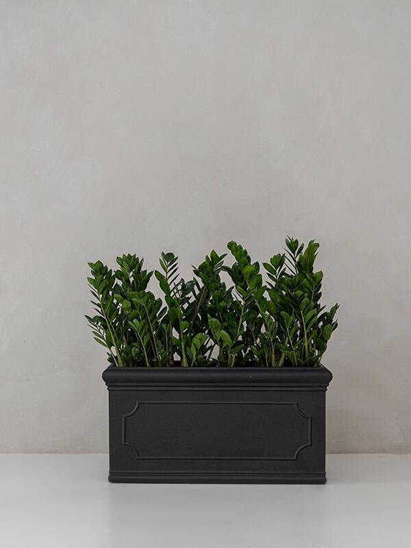 Кашпо Heritage jort classic s black L80 W30 H40 см