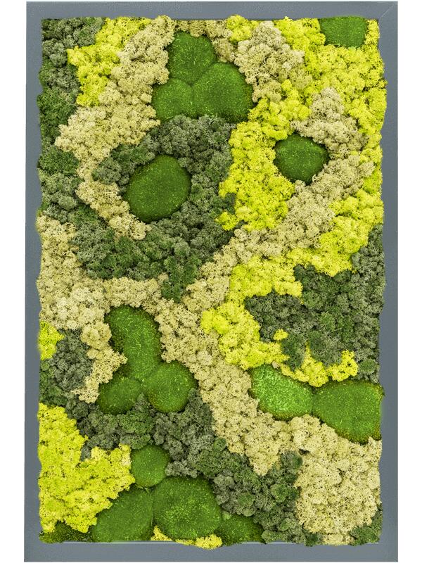 Картина из мха mdf ral 7016 satin gloss 30% ball moss 70% reindeer moss (mix) L60 W40 H6 см