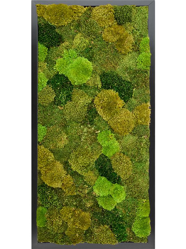 Картина из мха mdf ral 9005 satin gloss 20% flat and 80% exclusive moss (mix)) L120 W60 H6 см