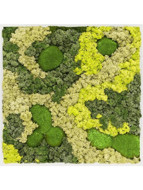 Картина из мха mdf ral 9010 satin gloss 30% ball moss 70% reindeer moss (mix) L80 W80 H6 см