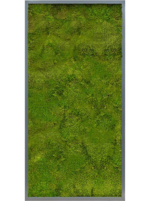 Картина из мха mdf ral 7016 satin gloss 100% flat moss L120 W60 H6 см