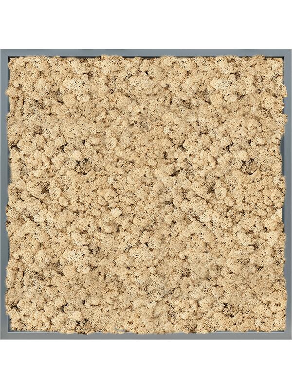 Картина из мха mdf ral 7016 satin gloss 100% reindeer (natural) L80 W80 H6 см