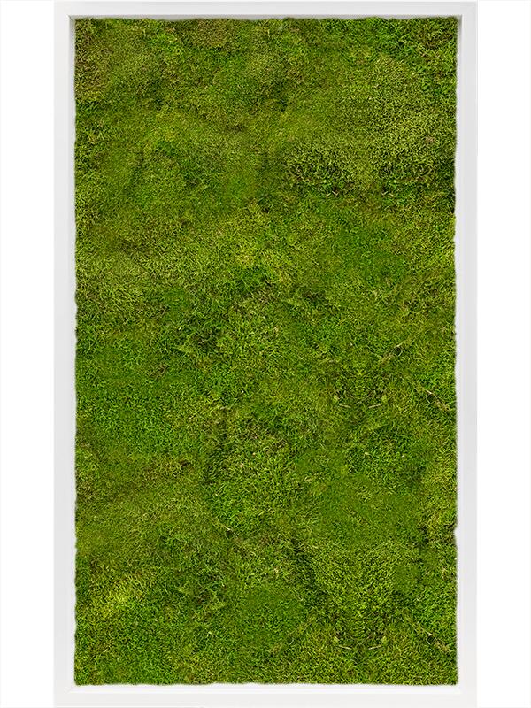 Картина из мха mdf ral 9010 satin gloss 100% flat moss L100 W60 H6 см