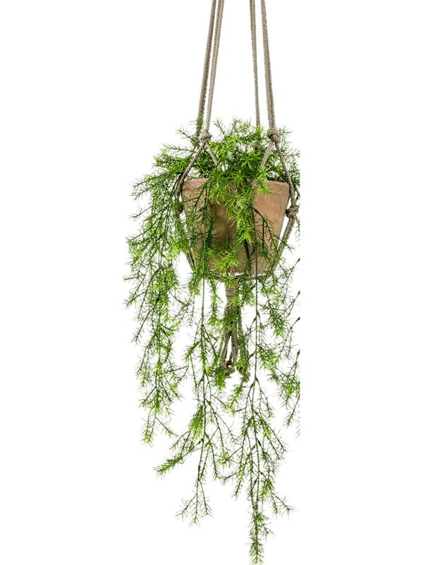 Папоротник Аспарагус Шпренгера ампельный в подвесном горшке искусственный W25 H75 см