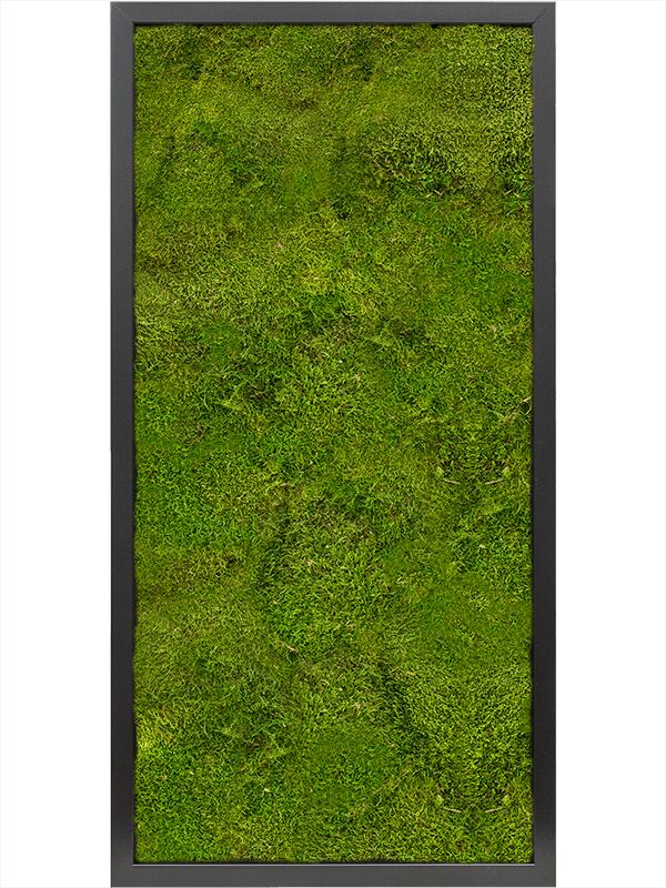 Картина из мха mdf ral 9005 satin gloss 100% flat moss L80 W40 H6 см
