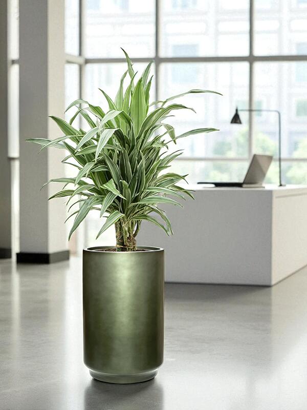 Кашпо Baq gradient cylinder matt forest green (met inzetbak) D40 H60 см