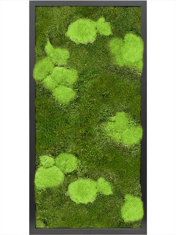 Картина из мха mdf ral 9005 satin gloss 30% ball- and 70% flat moss L80 W40 H6 см