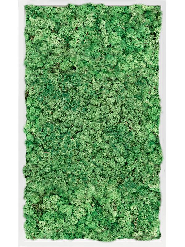 Картина из мха mdf ral 9010 satin gloss 100% reindeer moss (grass green) L100 W60 H6 см