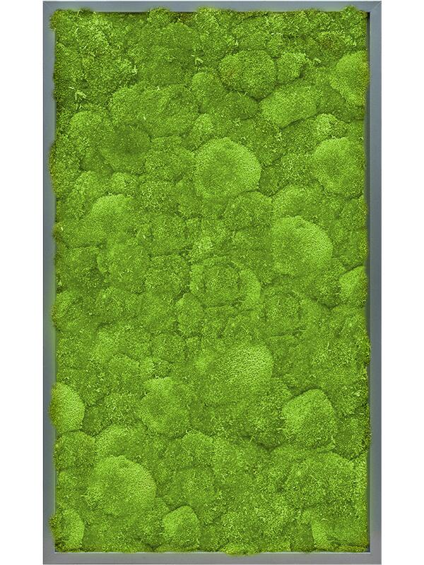 Картина из мха mdf ral 7016 satin gloss 100% ball moss L100 W60 H6 см