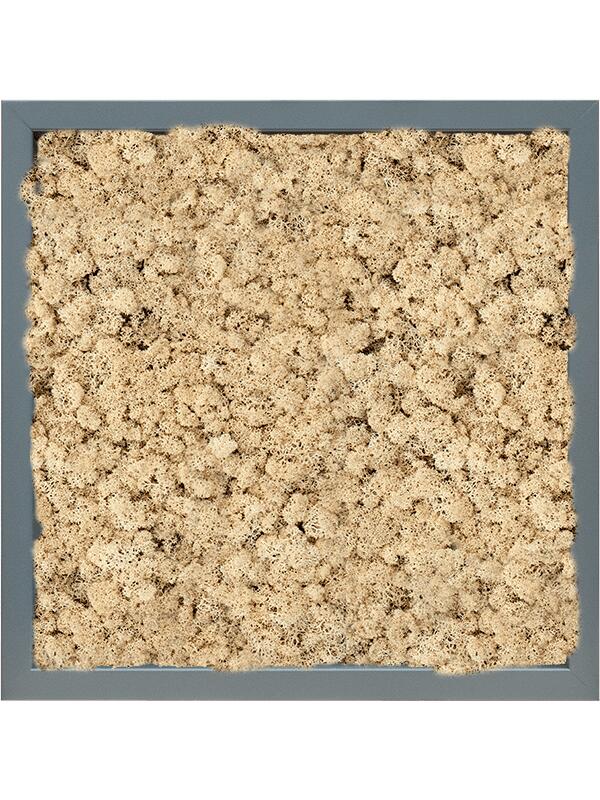 Картина из мха mdf ral 7016 satin gloss 100% reindeer (natural) L40 W40 H6 см