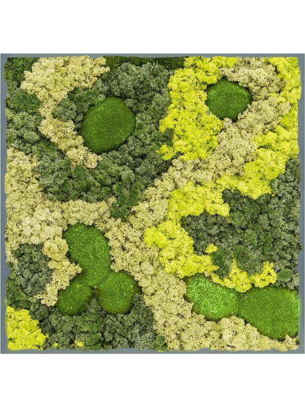 Картина из мха mdf ral 7016 satin gloss 30% ball moss 70% reindeer moss (mix) L60 W60 H6 см