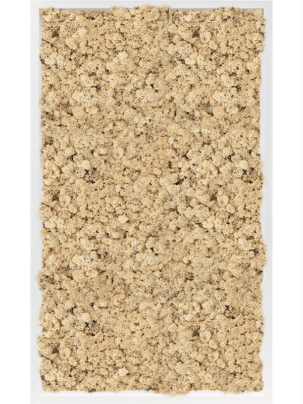 Картина из мха mdf ral 9010 satin gloss 100% reindeer moss (natural) L100 W60 H6 см