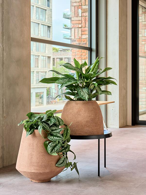 Кашпо Colorado planter terra dark D40 H43 см