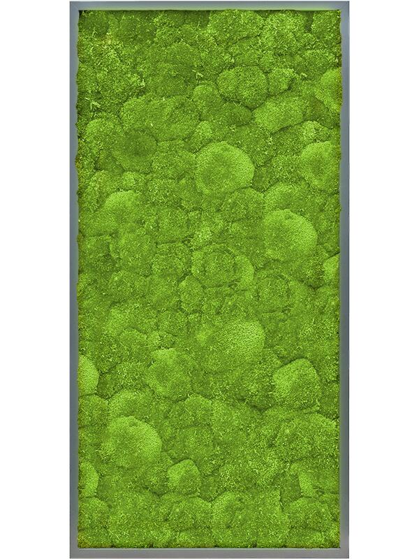 Картина из мха mdf ral 7016 satin gloss 100% ball moss L120 W60 H6 см