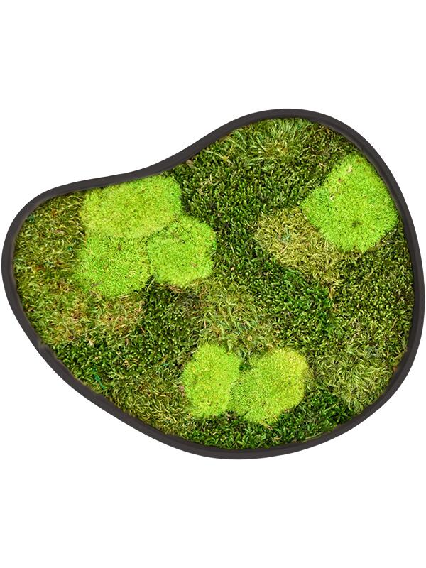 Картина из мха organic frame #3 earth mos (mix) L40 W35 H5 см