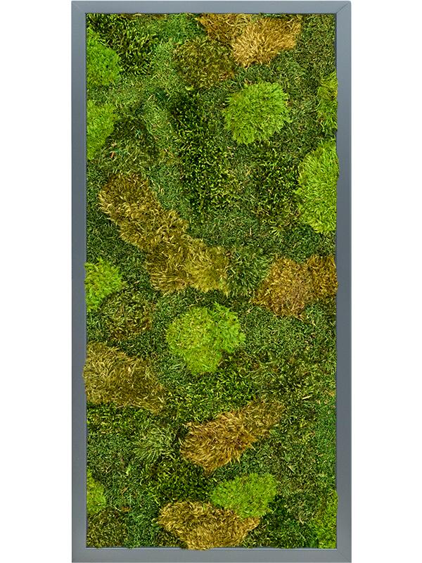 Картина из мха mdf ral 7016 satin gloss 20% flat and 80% exclusive moss (mix) L80 W40 H6 см