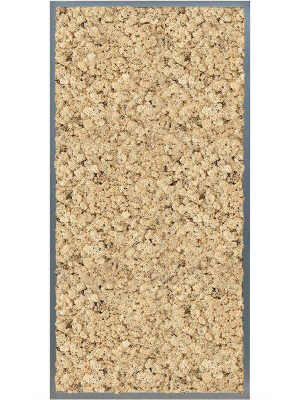 Картина из мха mdf ral 7016 satin gloss 100% reindeer (natural) L120 W60 H6 см