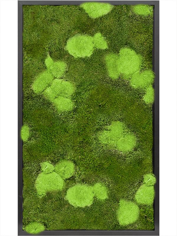 Картина из мха mdf ral 9005 satin gloss 30% ball- and 70% flat moss L100 W60 H6 см