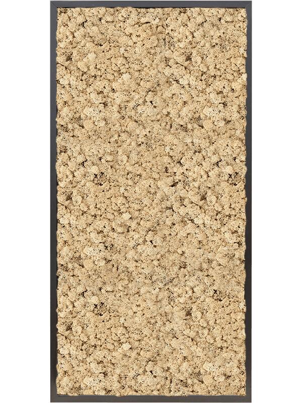 Картина из мха mdf ral 9005 satin gloss 100% reindeer moss (natural) L120 W60 H6 см