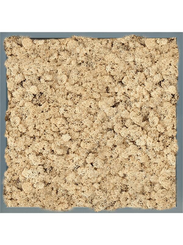 Картина из мха mdf ral 7016 satin gloss 100% reindeer (natural) L60 W60 H6 см