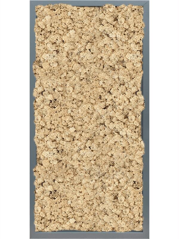 Картина из мха mdf ral 7016 satin gloss 100% reindeer (natural) L80 W40 H6 см