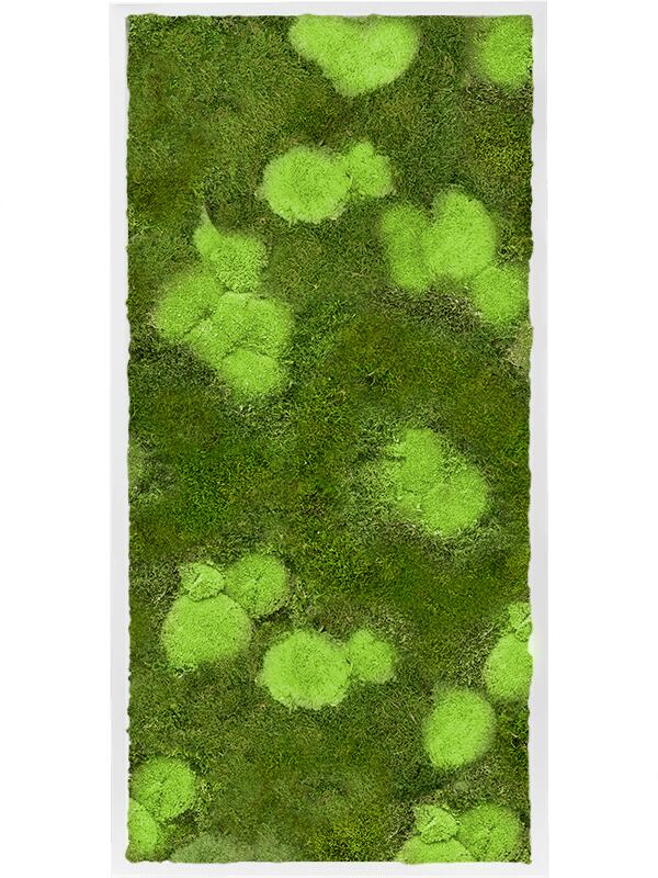 Картина из мха mdf ral 9010 satin gloss 30% ball- and 70% flat moss L120 W60 H6 см