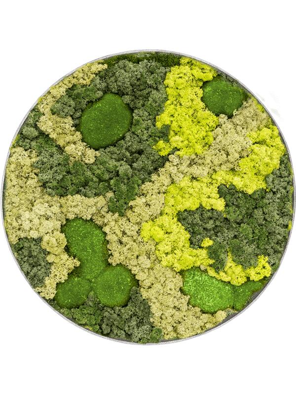 Картина из мха nova frame natural-concrete 30% ball moss 70% reindeer moss (mix) D50 H5 см