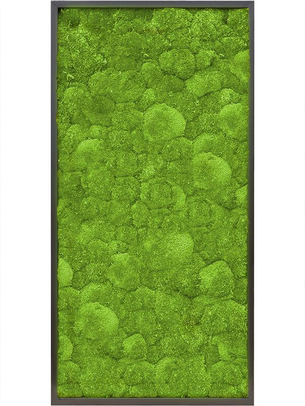 Картина из мха mdf ral 9005 satin gloss 100% ball moss L120 W60 H6 см