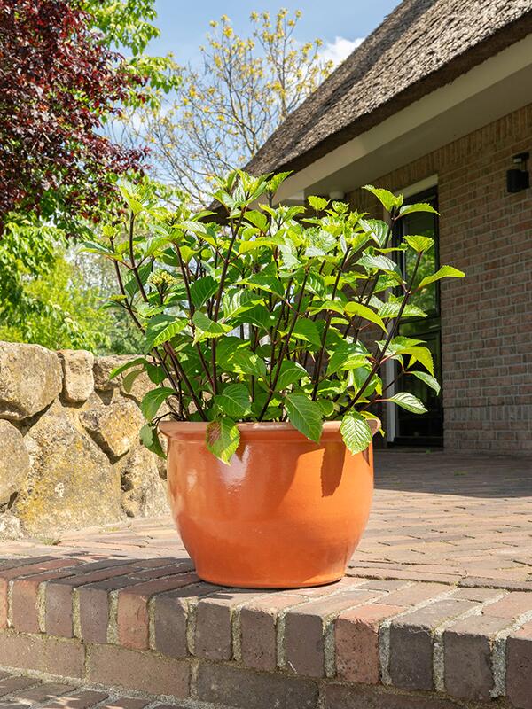 Кашпо Tiny pot orange (набор 4 шт) D37 H26 см