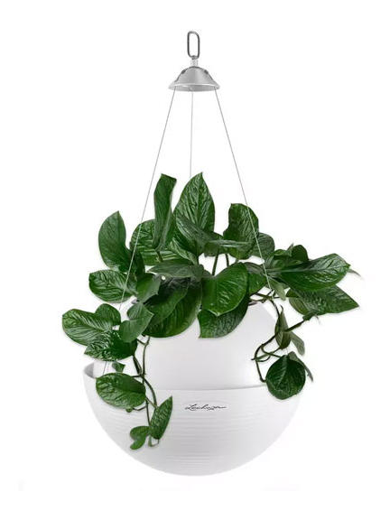 Кашпо Lechuza Bola Color