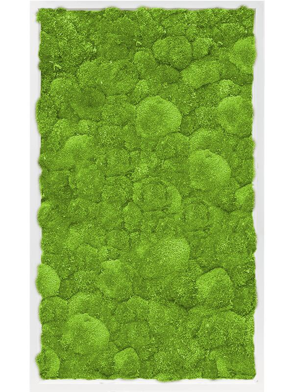 Картина из мха mdf ral 9010 satin gloss 100% ball moss L100 W60 H6 см
