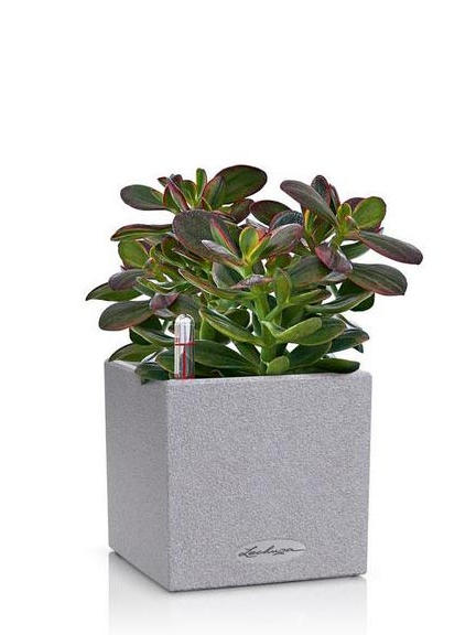 Кашпо Lechuza Canto Stone 14