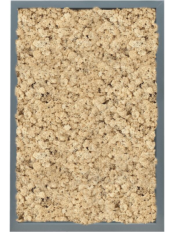 Картина из мха mdf ral 7016 satin gloss 100% reindeer (natural) L60 W40 H6 см