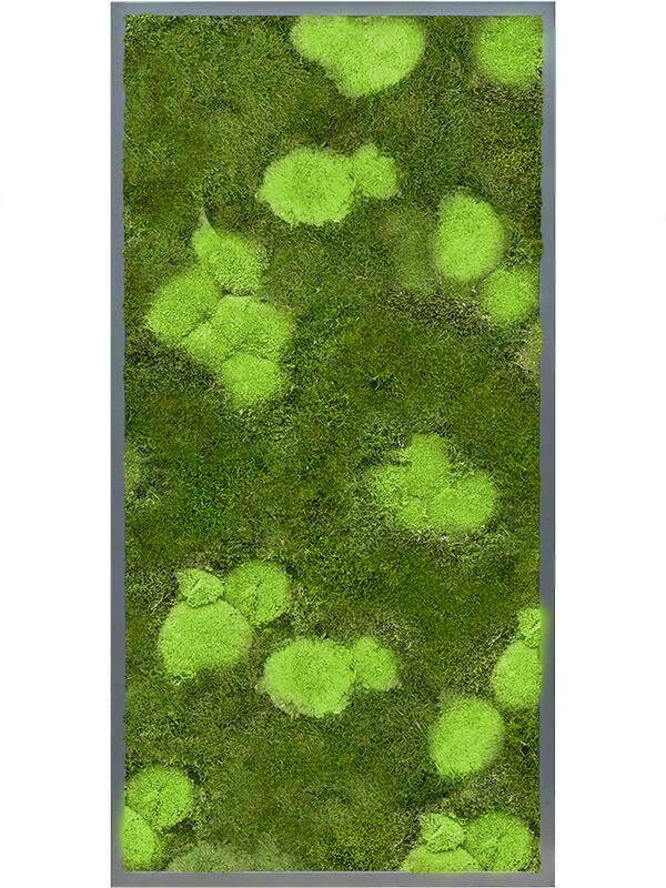Картина из мха mdf ral 7016 satin gloss 30% ball- and 70% flat moss L120 W60 H6 см