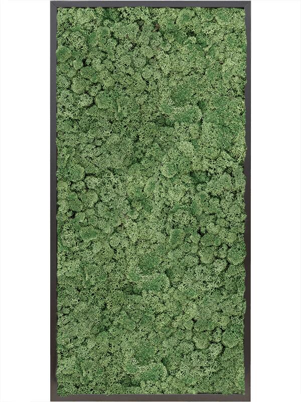 Картина из мха mdf ral 9005 satin gloss 100% reindeer moss (moss green) L120 W60 H6 см