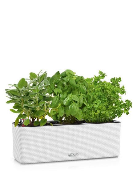 Кашпо Lechuza Cube Color Triple