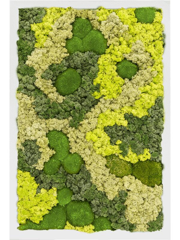 Картина из мха mdf ral 9010 satin gloss 30% ball moss 70% reindeer moss (mix) L60 W40 H6 см