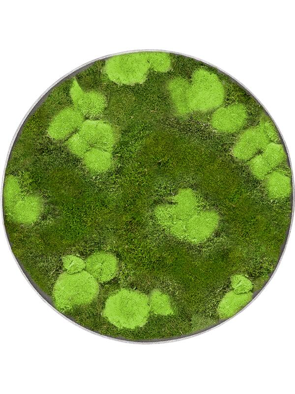 Картина из мха nova frame natural-concrete 30% ball- and 70% flat moss D60 H5 см