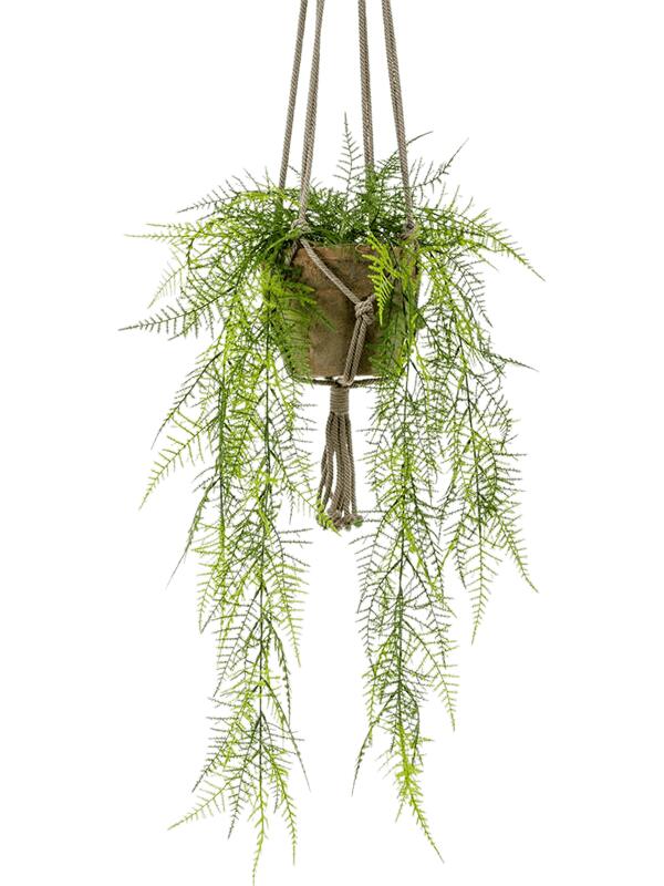 Папоротник Аспарагус перистый ампельный в подвесном горшке искусственный W25 H60 см Папоротник Аспарагус перистый ампельный в подвесном горшке искусственный W25 H60 см