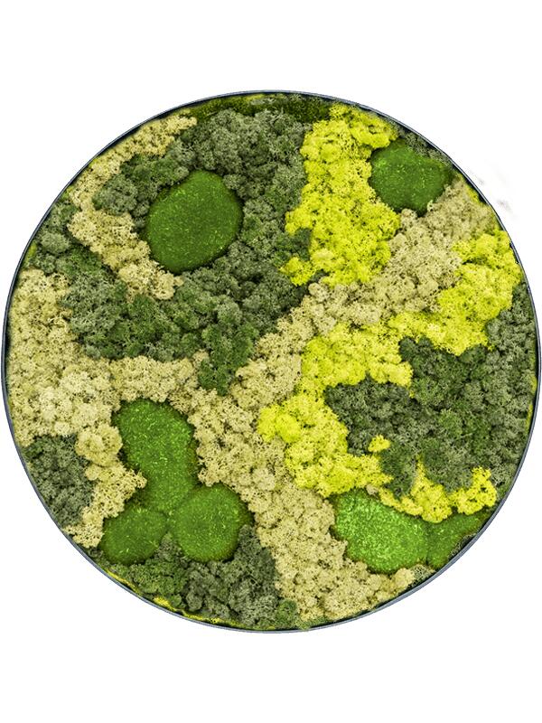 Картина из мха nova frame anthracite-concrete 30% ball moss 70% reindeer moss (mix) D100 H5 см