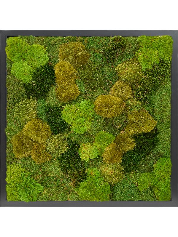 Картина из мха mdf ral 9005 satin gloss 20% flat and 80% exclusive moss (mix) L60 W60 H6 см
